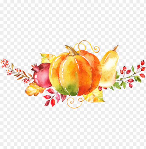 ainting autumn clip art hand painted vegetable Isolated Artwork in Transparent PNG