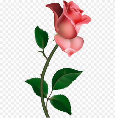 ainting pink roses rose buds clip art flower art - clip art rose PNG for Photoshop