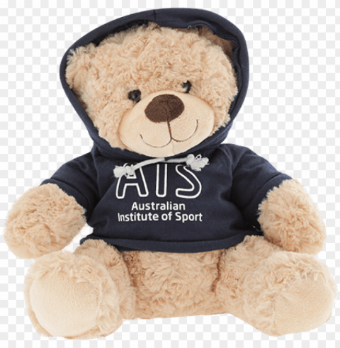 ais hoodie bear - teddy bear Clear background PNG images bulk