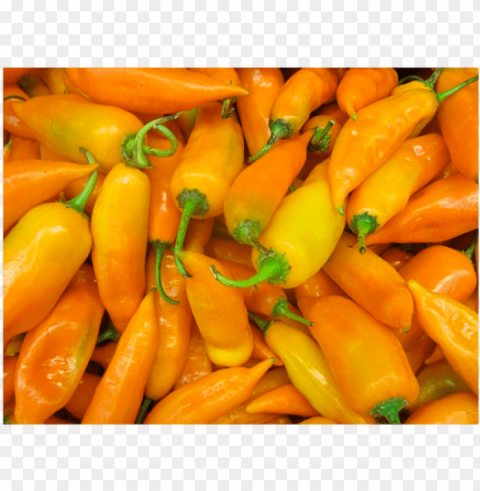 aji zanahoria - aji pepper Transparent PNG graphics bulk assortment