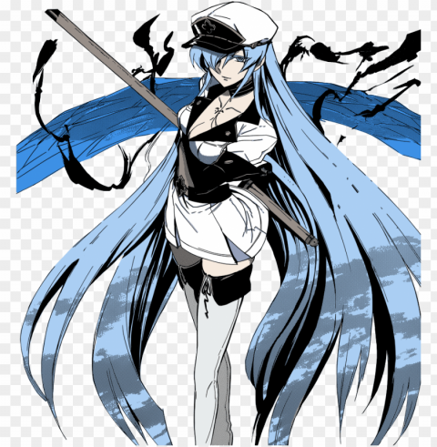 akame ga kill anime wall print poster decor 32x24 Transparent PNG images with high resolution