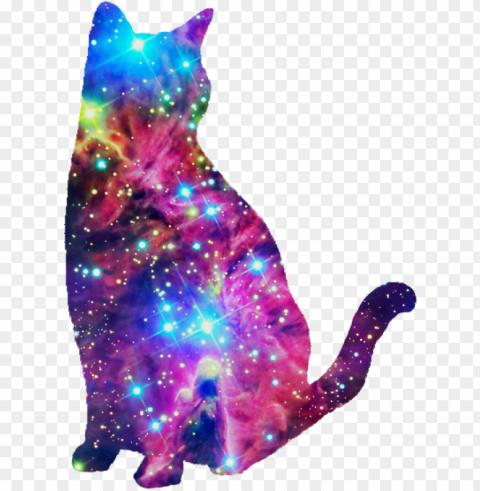 alaxy cat i don't know why i like this so much haha - galaxy cat black background PNG transparent pictures for projects