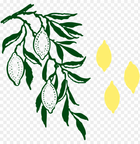 albero di limone Transparent PNG images complete package PNG transparent with Clear Background ID 58787149