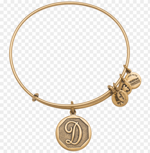 alex and ani d bracelet PNG Image Isolated with HighQuality Clarity