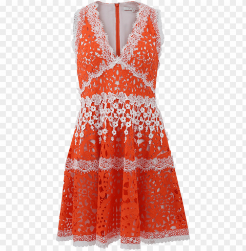 alexis bridget lace dress - day dress PNG with transparent bg