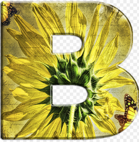 alfabeto florido girassol - sunflower Transparent background PNG stockpile assortment