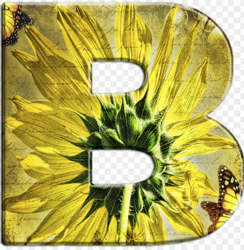 Alfabeto Florido Girassol - Sunflower Transparent Background PNG Stockpile Assortment