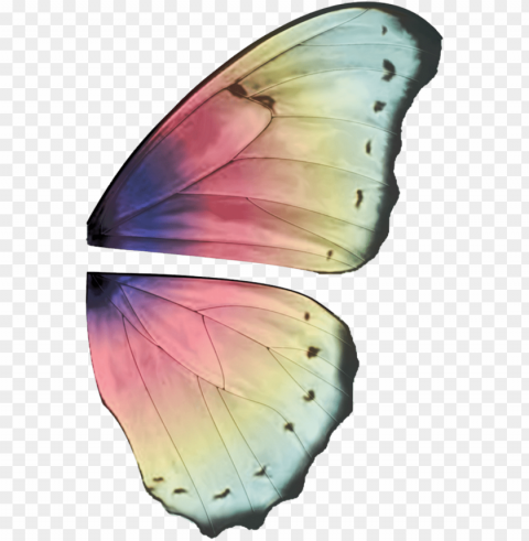 ali fate - butterfly wings high resolutio PNG Image with Transparent Background Isolation