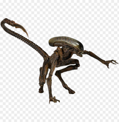 alien Free PNG images with alpha channel variety