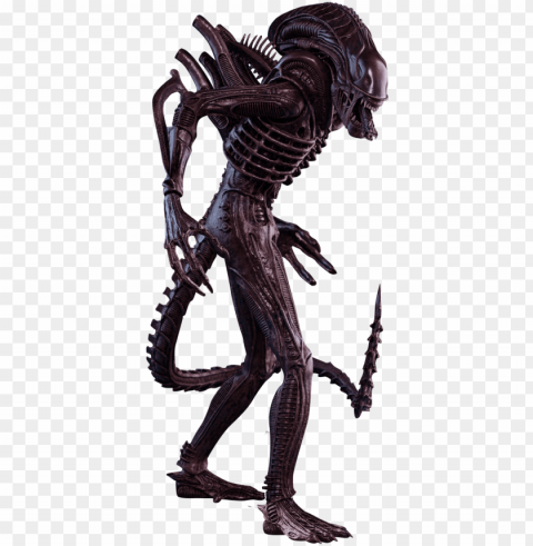 aliens cutouts animalaliens - alien warrior sixth scale hot toys action figure Isolated Item on Clear Transparent PNG