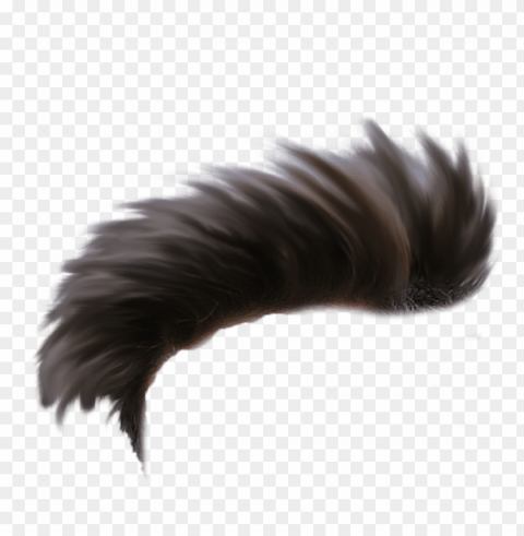 All Heir - Hair One Side Isolated Element In Clear Transparent PNG
