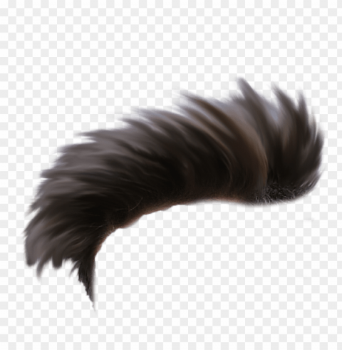 all heir - hair one side Isolated Element in Clear Transparent PNG