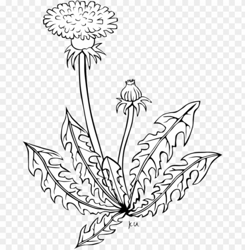 all photo clipart - garden weed black and white Clean Background Isolated PNG Object
