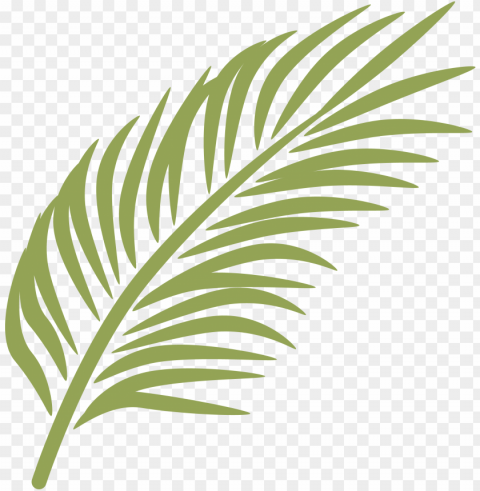 alm frond - palm leaves clip art Free PNG images with alpha channel variety
