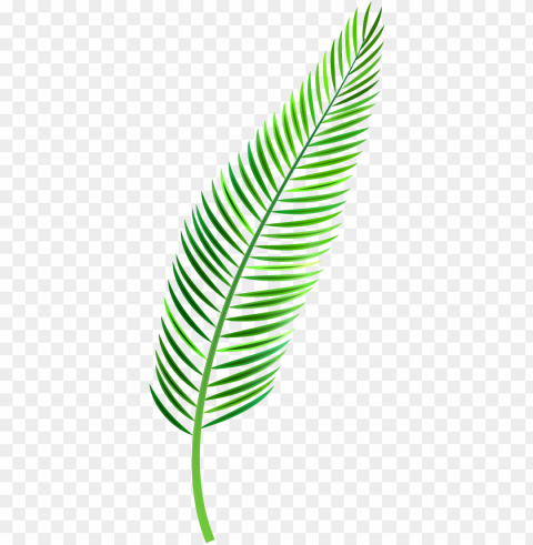 alm leaf clip art - tropical leaf watercolor Transparent picture PNG