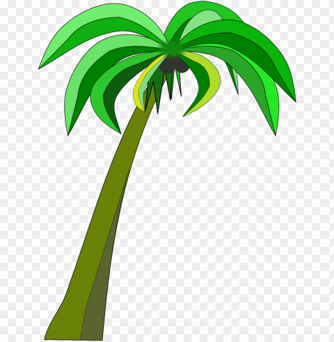 alm or coconut tree clipart black and white download - coconut palm tree clipart PNG with no bg