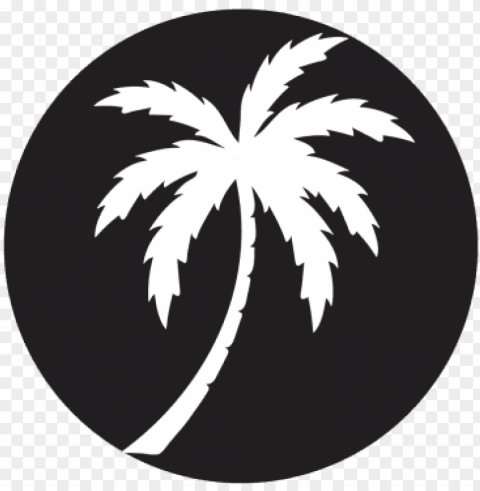 alm silhouette projected image - palm tree silhouette Transparent PNG images for design
