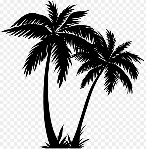alm tree clipart - palm tree line art PNG images with clear alpha channel