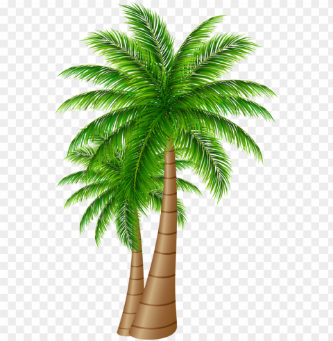 alm tree clipart - date palm tree HighResolution Transparent PNG Isolation