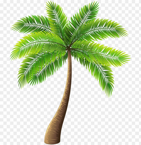 alm tree clip art - palm tree cartoo Free download PNG images with alpha transparency