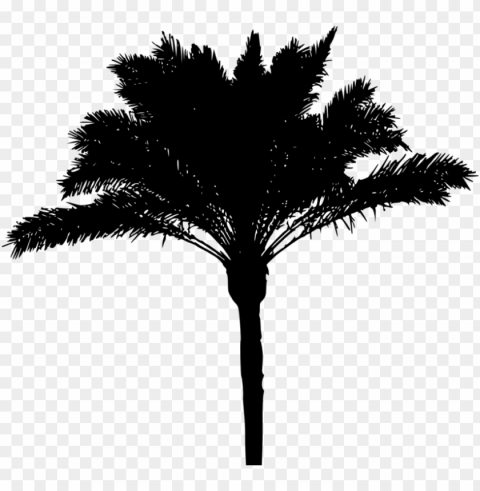 alm tree download - palm tree silhouette PNG files with alpha channel assortment