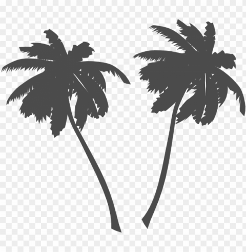 alm trees and sun black and white vector - palm tree clip art Transparent PNG graphics complete archive
