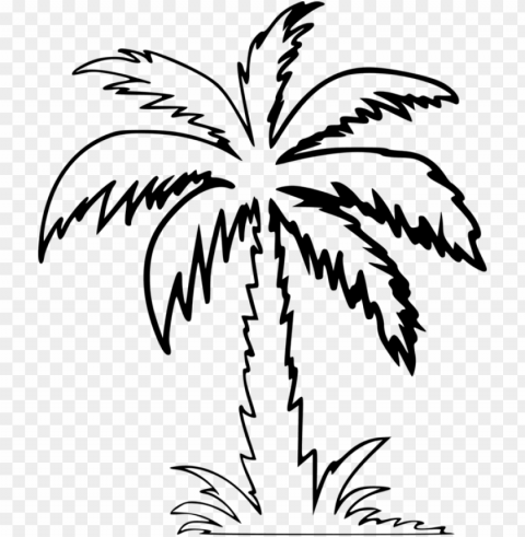 alm trees drawing computer icons silhouette - palm tree clipart outline Transparent background PNG gallery