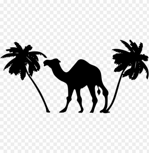 alm trees sahara desert wild bactrian camel - camel clipart Transparent PNG Isolated Graphic with Clarity