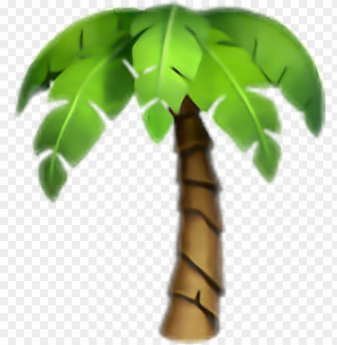 almera whatsapp tantranquiloytropical - palm tree emoji Isolated Graphic with Clear Background PNG