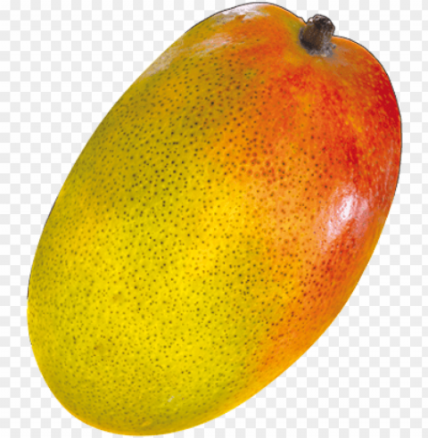 alphonso mango pic - seedless fruit Isolated Graphic Element in Transparent PNG PNG transparent with Clear Background ID e54fa293