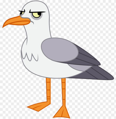 amarthgul bird safe seagull simple background - seagull background Clear PNG images free download PNG transparent with Clear Background ID f8ab82a2