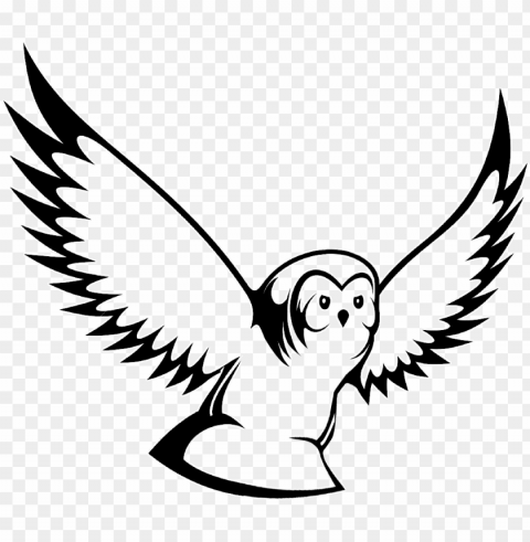 ambar burung hantu hitam putih Transparent PNG image free