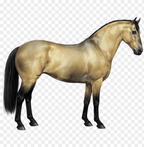amber ivory champagne horse Clear PNG pictures bundle