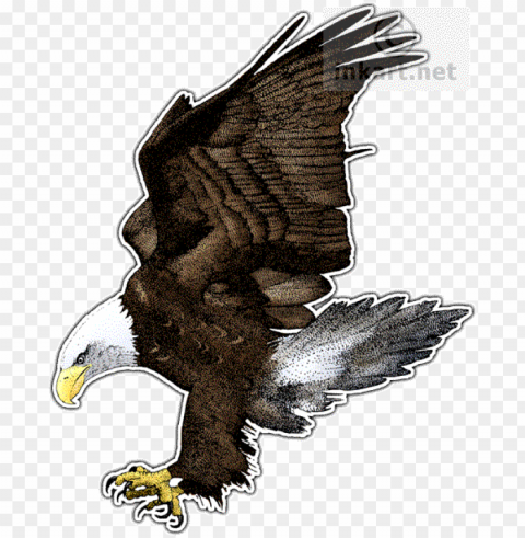 american bald eagle throw blanket Transparent Background Isolated PNG Icon