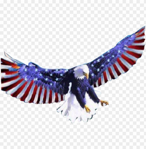 american flag eagle - american flag bald eagle transparent Isolated PNG Graphic with Transparency