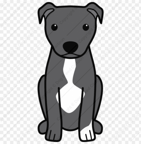 american pitbull terrier natural ears - cartoon pitbull Transparent Background PNG Isolated Design