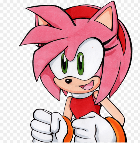 amy rose bust by littlemissscarlet on deviantart south PNG with Isolated Object and Transparency