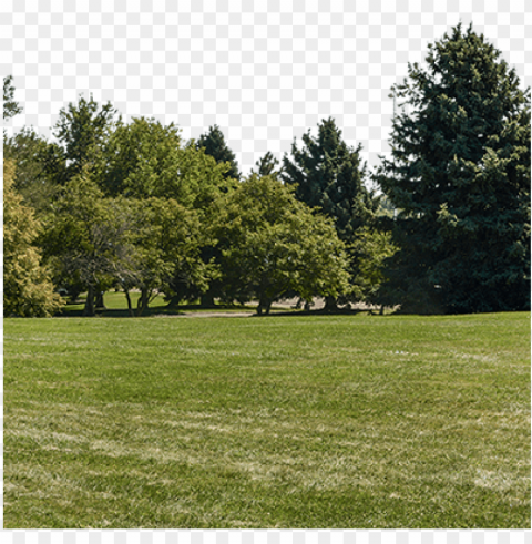 an absolutely enormous panoramic photo of a park with - panoramic tree back ground PNG pics with alpha channel