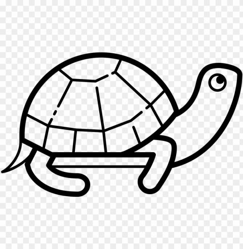 an icon of a turtle is animal with a head and body Transparent PNG images for digital art