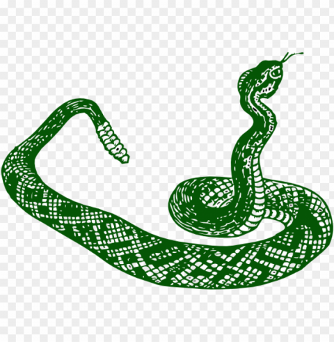 anaconda clipart jungle snake - serpiente blanco y negro PNG images with alpha transparency selection PNG transparent with Clear Background ID 3d15d2de