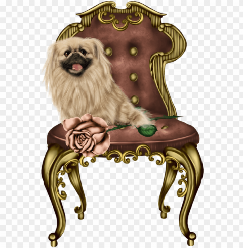 ancient dog breeds Transparent PNG Isolated Element PNG transparent with Clear Background ID 15d263ba