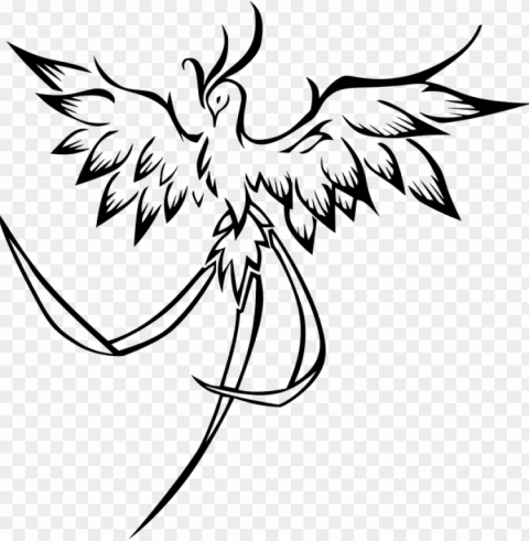 ancient symbolism of the magic phoenix - phoenix bird line art Transparent background PNG photos