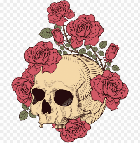 and skull rose illustration t-shirt design human clipart - skull and rose illustratio PNG graphics with clear alpha channel