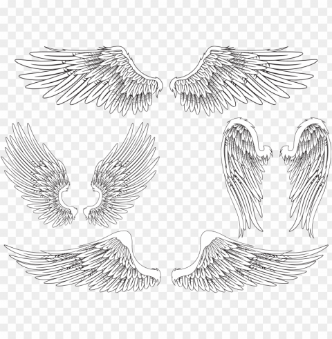 angel wing bird feather PNG images with clear alpha channel