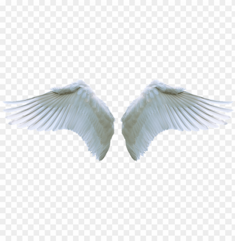 angel wing picture transparent stock - guardian angel angel wings Clear PNG pictures compilation