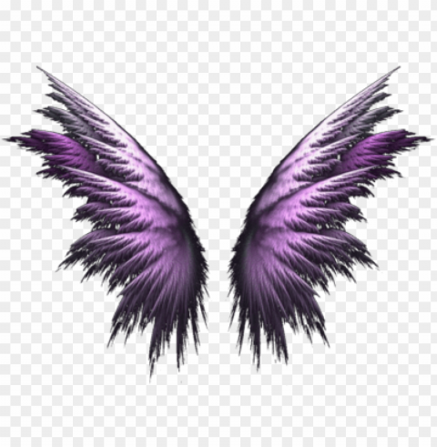 angel wings - purple angel wings PNG Illustration Isolated on Transparent Backdrop