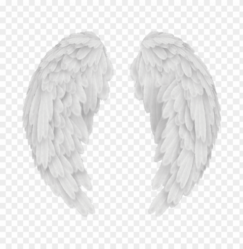 angels in america wings - angel wings PNG clip art transparent background