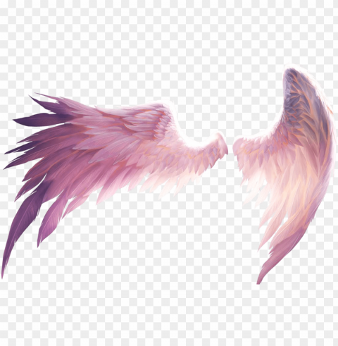 angelwings ftestickers report abuse - wings for picsart HighQuality PNG Isolated Illustration