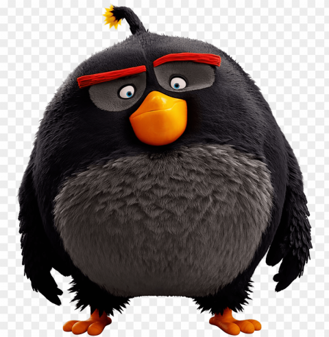 angry birds movie characters Transparent PNG graphics complete archive