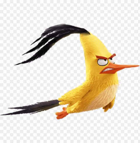 angry birds movie chuck flying Transparent PNG pictures complete compilation PNG transparent with Clear Background ID 033677a5